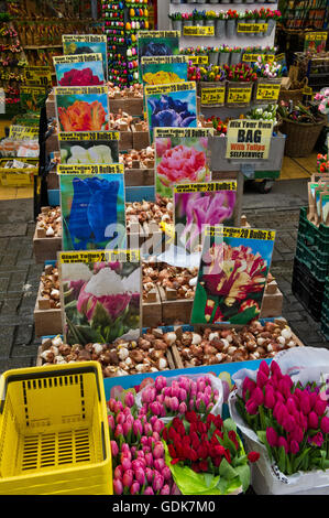 Les tulipes, bulbes, fleurs artificielles sont en vente sur le marché flottant () Amsterdam, Hollande, Pays-Bas. Banque D'Images