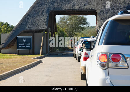 Porte d'entrée de l'Addo Elephant National Park, Afrique du Sud, avec beaucoup de voitures en face d'attente Banque D'Images