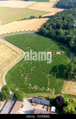 Vue aérienne, Luenen, Ruhr, labyrinthe de maïs, Lunen Cappenberg, Ruhr, Rhénanie du Nord-Westphalie, Allemagne, Europe, vue aérienne, Banque D'Images