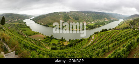 Domaine viticole du Douro, moyenne Vallée du Douro, vignoble, Panorama, Santa Cristina, district de Vila Real, Portugal, Europe, voyage, Banque D'Images