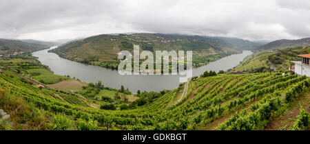 Domaine viticole du Douro, moyenne Vallée du Douro, vignoble, Panorama, Santa Cristina, district de Vila Real, Portugal, Europe, voyage, Banque D'Images