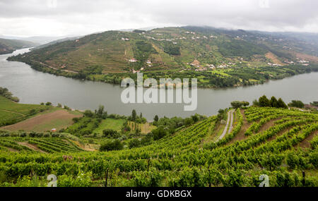 Domaine viticole du Douro, moyenne Vallée du Douro, vignoble, Panorama, Santa Cristina, district de Vila Real, Portugal, Europe, voyage, Banque D'Images