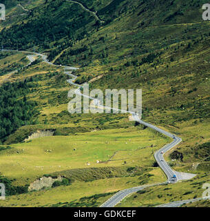 Route sinueuse dans les Pyrénées, France, Europe Banque D'Images