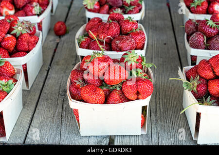 Cartouches de fraîchement cueilli, mûres, fraises rouges. Affiche sur une table en bois patiné et offert en vente à une fraise Banque D'Images