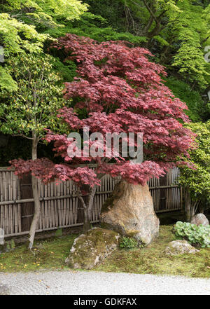 Jardins de Nanzen-ji temple bouddhiste Zen à Kyoto, Japon Banque D'Images