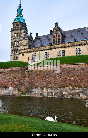 Sur la tour du château d'Elseneur au Danemark, la hausse sur les douves avec un cygne blanc autour de natation Banque D'Images