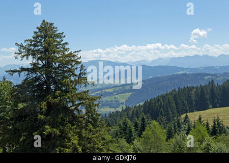 Vue depuis la montagne Pfaender, Bregenz, le lac de Constance, Vorarlberg, Autriche Banque D'Images