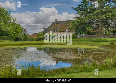 Chaumières et étang du village à Ashmore, Dorset en Juillet - effet hdr Banque D'Images