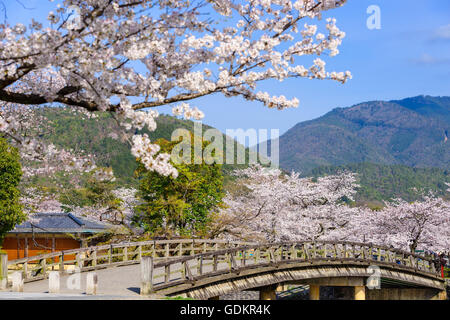 De Arashiyama, Kyoto, Japon dans la saison du printemps. Banque D'Images