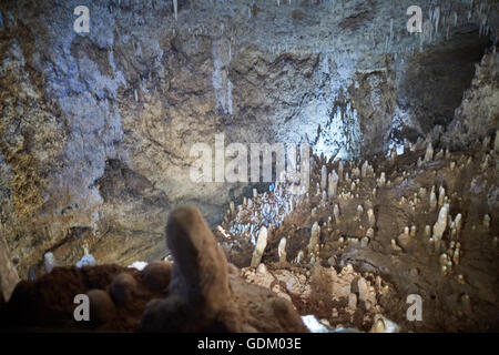 Les Petites Antilles La Barbade paroisse Saint Michael West indies Harrison capital's Cave est une attraction touristique les touristes l'accès e Banque D'Images