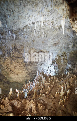 Les Petites Antilles La Barbade paroisse Saint Michael West indies Harrison capital's Cave est une attraction touristique les touristes l'accès e Banque D'Images