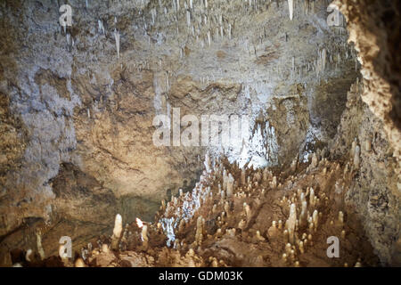 Les Petites Antilles La Barbade paroisse Saint Michael West indies Harrison capital's Cave est une attraction touristique les touristes l'accès e Banque D'Images