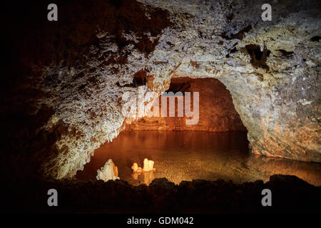 Les Petites Antilles La Barbade paroisse Saint Michael West indies Harrison capital's Cave est une attraction touristique les touristes l'accès e Banque D'Images