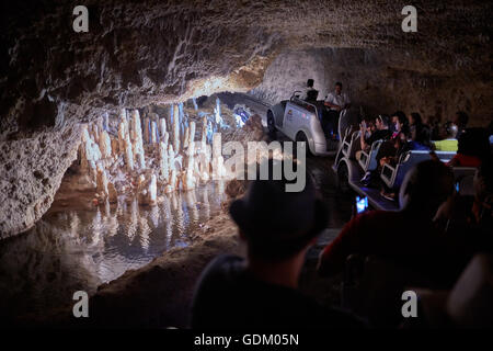Les Petites Antilles La Barbade paroisse Saint Michael West indies Harrison capital's Cave est une attraction touristique les touristes l'accès e Banque D'Images