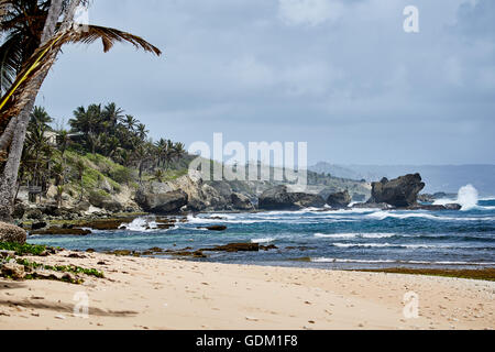 Les Petites Antilles La Barbade paroisse Saint Michael West indies Bridgetown Barbade capitale golden sand beach avec grande pierre ro Banque D'Images