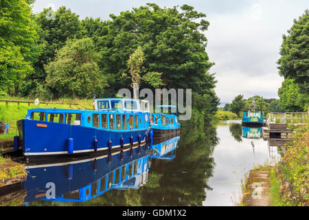 Les péniches sur le Forth et Clyde Canal près de Kirkintilloch, Glasgow, Écosse, Royaume-Uni Banque D'Images