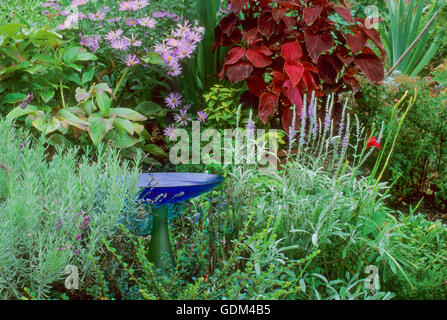 Birdbath verre bleu dans jardin Banque D'Images