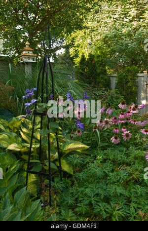 Jardin d'été avec tuteur, l'échinacée, hosta, Banque D'Images