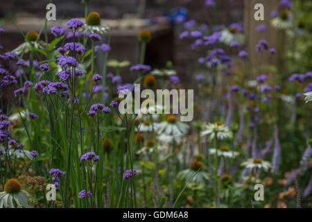 Tatton, UK. 18 juillet, 2016. Lors de la plantation Miced Tatton Park RHS Flower Show 2016 : Jonathan Ward/Alamy Live News Banque D'Images