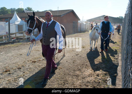 Llanelwedd, Powys, au Royaume-Uni. 19 juillet 2016. Les exposants apportent leurs chevaux pour juger dans le ring le 2ème jour de la Royal Welsh Show agricole 2016 avec les prévisions de températures dans le haut 20 degrés centigrades. Credit : Graham M. Lawrence/Alamy Live News. Banque D'Images