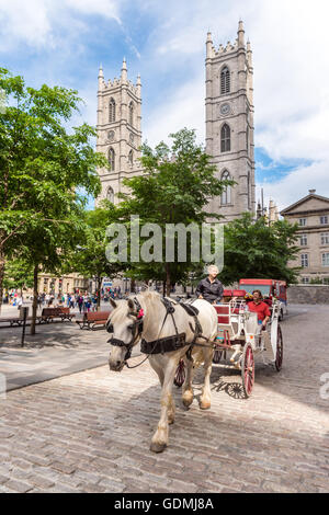 Les touristes profiter d'un tour de caleche dans le Vieux Montréal (2016) avec la Basilique Notre-Dame en arrière-plan Banque D'Images