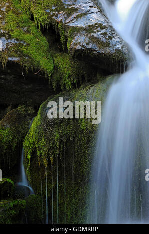 Belle cascade en forêt verte Banque D'Images