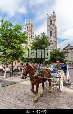 Les touristes profiter d'un tour de caleche dans le Vieux Montréal (2016) avec la Basilique Notre-Dame en arrière-plan Banque D'Images