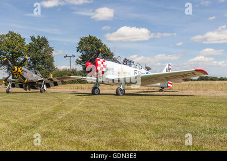 Au-6D Harvard III (T6) à la texane hardwick warbirds Banque D'Images