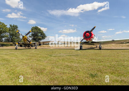 Au-6D Harvard III (T6) Texan avec mustang p 51d Banque D'Images