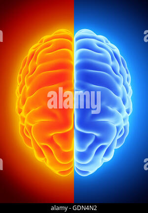 3D illustration de la moitié lumineuse orange et bleu, l'anatomie du cerveau et concept médical. Banque D'Images