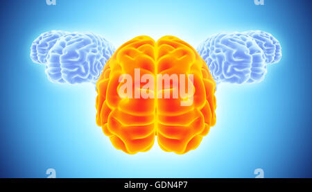 Illustration 3D d'orange vif et bleu conceptuel, cerveau Brain Storm et concept de leadership. Banque D'Images