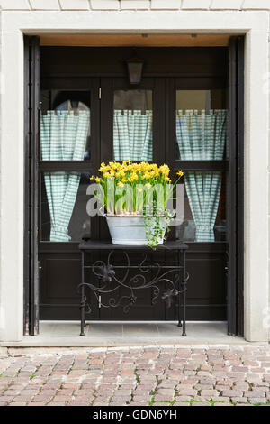 Cache-pot de jonquilles en pleine floraison en face d'une fenêtre en Italie. Banque D'Images