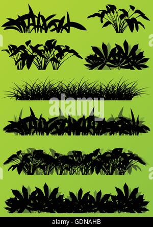 Jungle exotique tropical grass et plantes silhouettes illustration détaillée du paysage fond collection vector concept vert Illustration de Vecteur