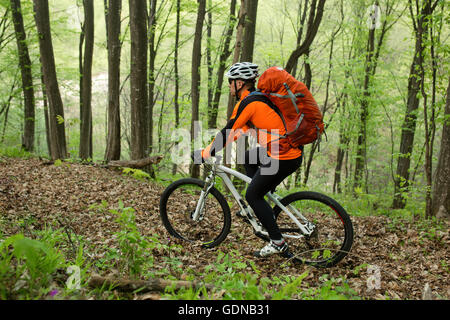 Biker sur la route forestière Banque D'Images