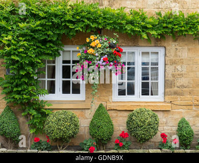 Les plantes de couverture buis taillés et une suspension à l'extérieur d'un chalet. Broadway, Cotswolds, Worcestershire, Angleterre. Banque D'Images