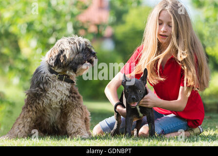 Fille avec bouledogue français et dans l'amitié de terrier tibétain Banque D'Images