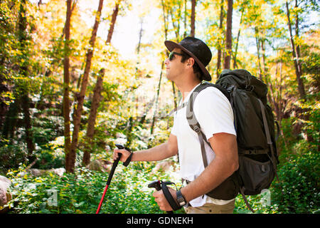 Young male hiker randonnées en forêt avec des bâtons de randonnée, Arcadia, Californie, USA Banque D'Images