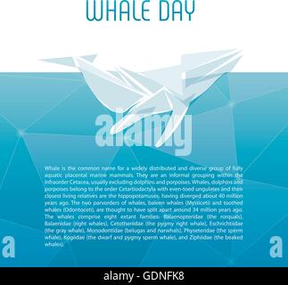 Illustration vecteur de baleines isolés. Mammifères marins de l'océan sur le fond bleu de l'image. Illustration de Vecteur