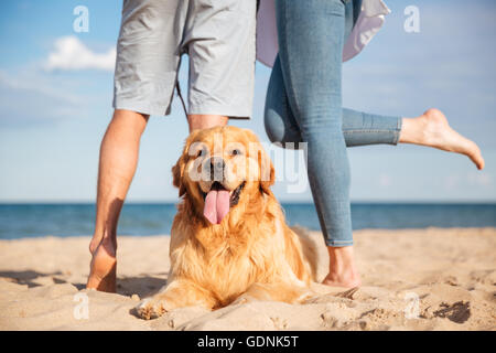 Gros plan du beau chien couché sur la plage tandis que young couple Banque D'Images