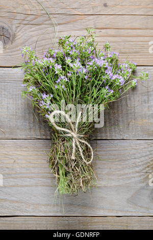 Bouquet de thym sur fond de bois Banque D'Images