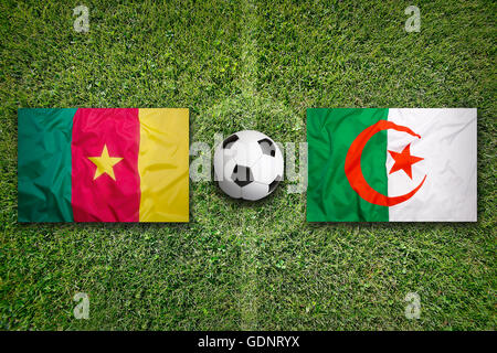 Cameroun contre l'Algérie les drapeaux sur le terrain de soccer vert Banque D'Images