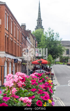 Parterres de pensées sur le chemin piétonnier à Birmingham. Banque D'Images