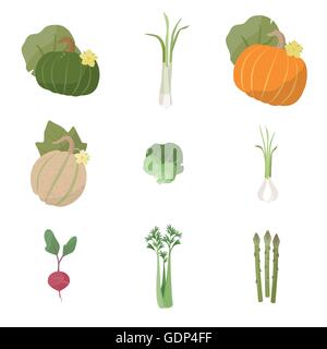 Les légumes frais du jardin situé sur fond blanc, y compris la citrouille, les oignons verts, melon, choux de Bruxelles, l'ail, radis, céleri, Illustration de Vecteur