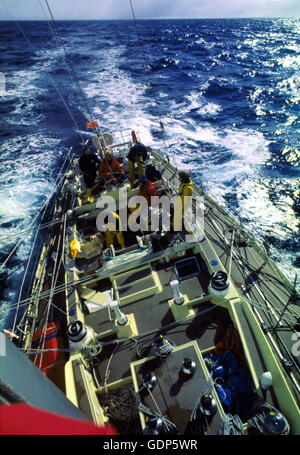 Nouvelles photos d'AJAX. 1978. Le sud de l'océan. - WHITBREAD ROUND THE WORLD RACE - CONDOR RAYURES VERTICALES SUR L'OCÉAN DU SUD, PETER BLAKE À LA ROUE. PHOTO:GRAHAM CARPENTER/AJAX REF:804581 Banque D'Images