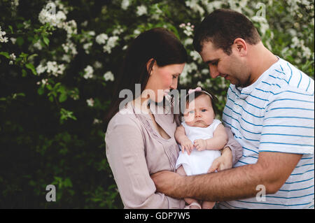 Portrait of baby girl menées entre la mère et le père par garden apple blossom Banque D'Images