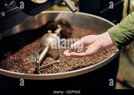 Man's hand holding à partir de grains de café torréfacteur Banque D'Images