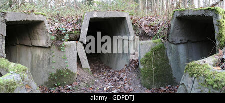 Trois entrées dans bunker ruines dans Mecklenburg-Vorpommern, Allemagne. Banque D'Images