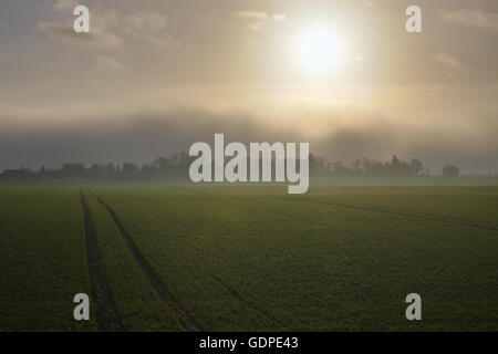 Sombres nuages et le brouillard qui arrive sur le bleu ciel ensoleillé sur la ville de Grubenhagen près de Greifswald, Mecklenburg-Vorpommern, Germ Banque D'Images