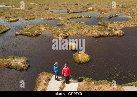 Jeune couple à la découverte des piscines des tourbières sur la RSPB Dubh Lochan Piste à Forsinard, Sutherland, Scotland. Banque D'Images