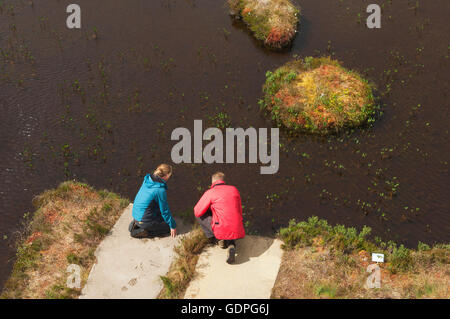 Jeune couple à la découverte des piscines des tourbières sur la RSPB Dubh Lochan Piste à Forsinard, Sutherland, Scotland. Banque D'Images